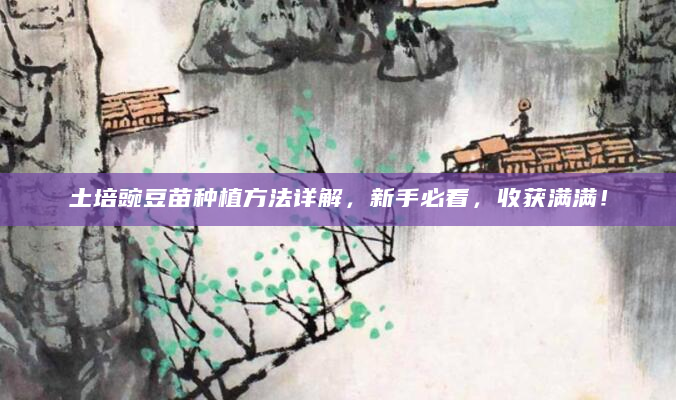 土培豌豆苗种植方法详解，新手必看，收获满满！