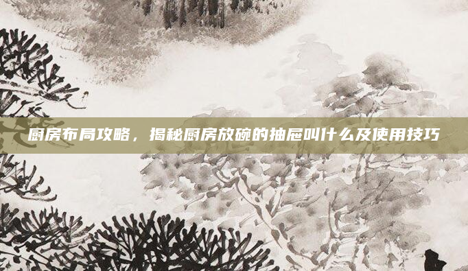 厨房布局攻略，揭秘厨房放碗的抽屉叫什么及使用技巧