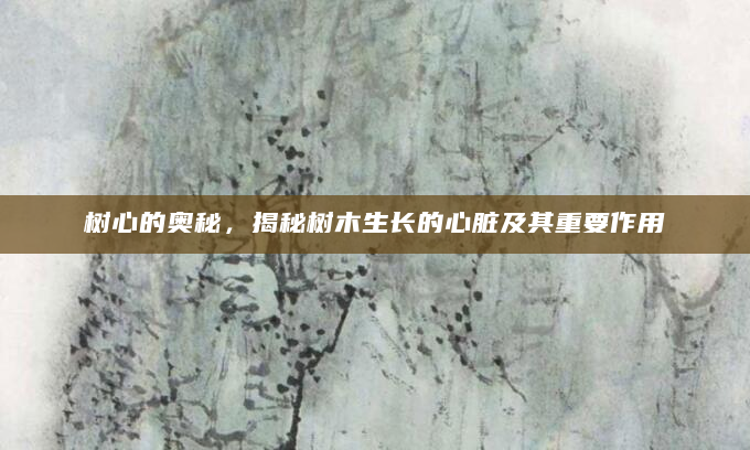 树心的奥秘，揭秘树木生长的心脏及其重要作用