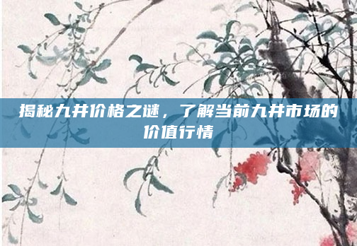 揭秘九井价格之谜，了解当前九井市场的价值行情