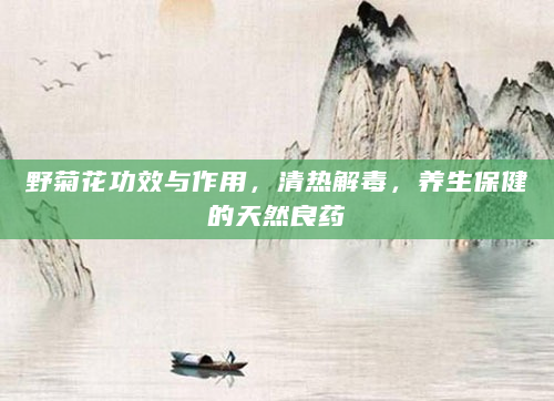 野菊花功效与作用，清热解毒，养生保健的天然良药