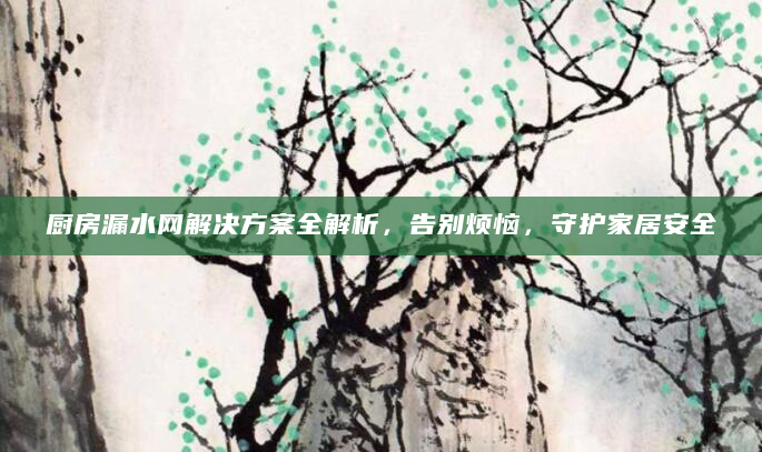 厨房漏水网解决方案全解析，告别烦恼，守护家居安全