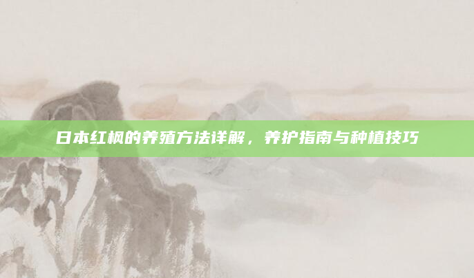 日本红枫的养殖方法详解，养护指南与种植技巧