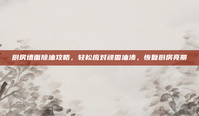 厨房墙面除油攻略，轻松应对顽固油渍，恢复厨房亮丽