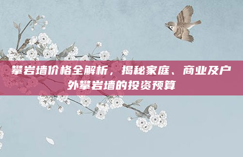 攀岩墙价格全解析，揭秘家庭、商业及户外攀岩墙的投资预算