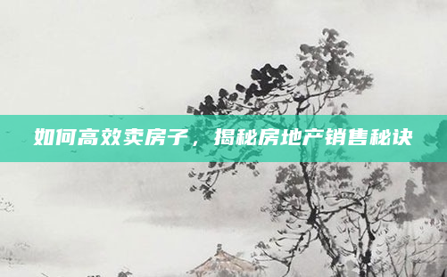 如何高效卖房子，揭秘房地产销售秘诀
