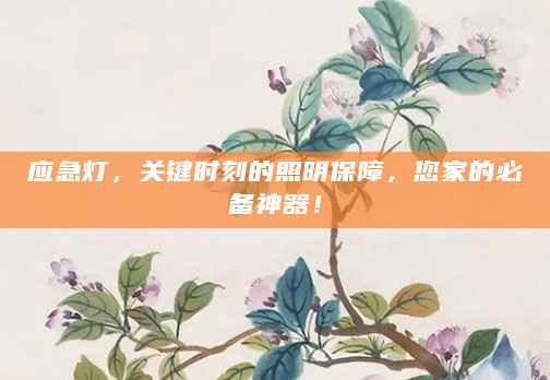 应急灯，关键时刻的照明保障，您家的必备神器！