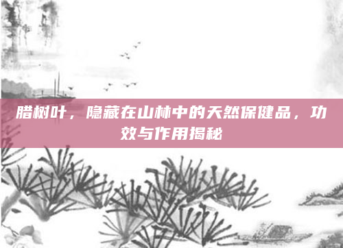 腊树叶，隐藏在山林中的天然保健品，功效与作用揭秘