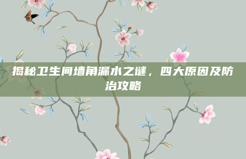 揭秘卫生间墙角漏水之谜，四大原因及防治攻略
