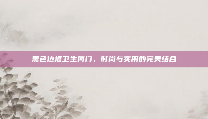 黑色边框卫生间门，时尚与实用的完美结合