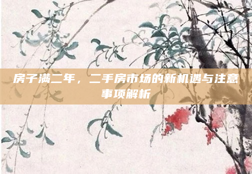 房子满二年，二手房市场的新机遇与注意事项解析