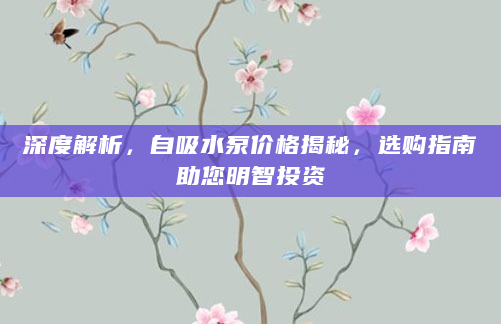 深度解析，自吸水泵价格揭秘，选购指南助您明智投资