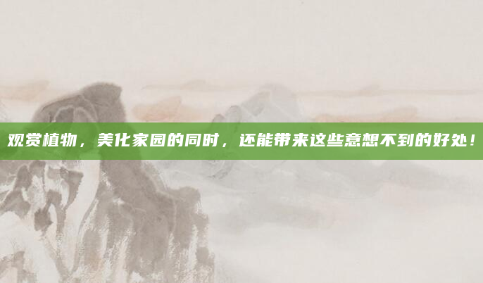 观赏植物，美化家园的同时，还能带来这些意想不到的好处！