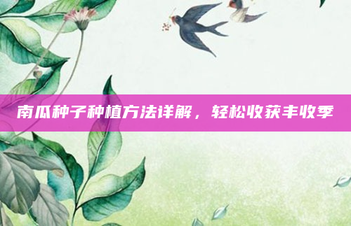 南瓜种子种植方法详解，轻松收获丰收季