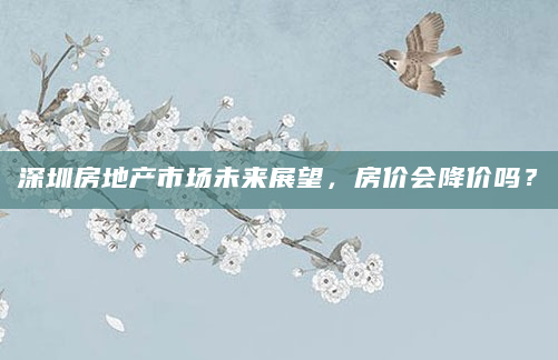 深圳房地产市场未来展望，房价会降价吗？