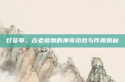 灯笼草，古老植物的神奇功效与作用揭秘