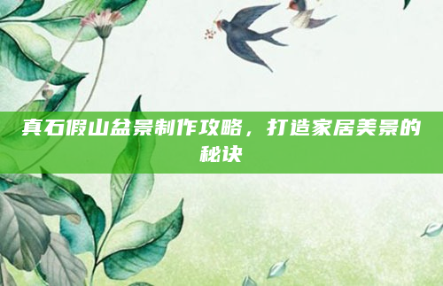 真石假山盆景制作攻略，打造家居美景的秘诀