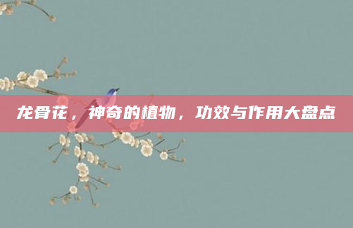 龙骨花，神奇的植物，功效与作用大盘点