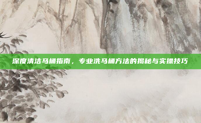 深度清洁马桶指南，专业洗马桶方法的揭秘与实操技巧