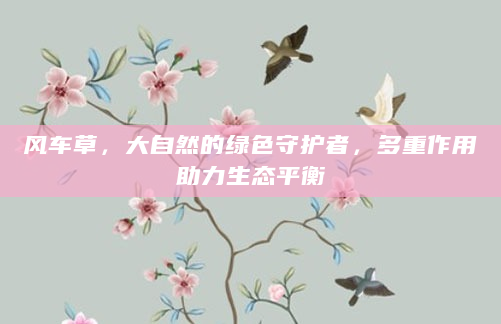 风车草，大自然的绿色守护者，多重作用助力生态平衡