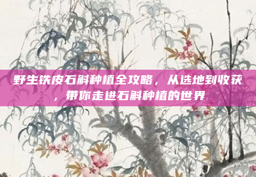 野生铁皮石斛种植全攻略，从选地到收获，带你走进石斛种植的世界