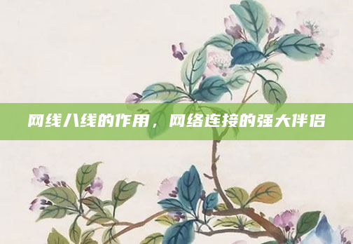 网线八线的作用，网络连接的强大伴侣