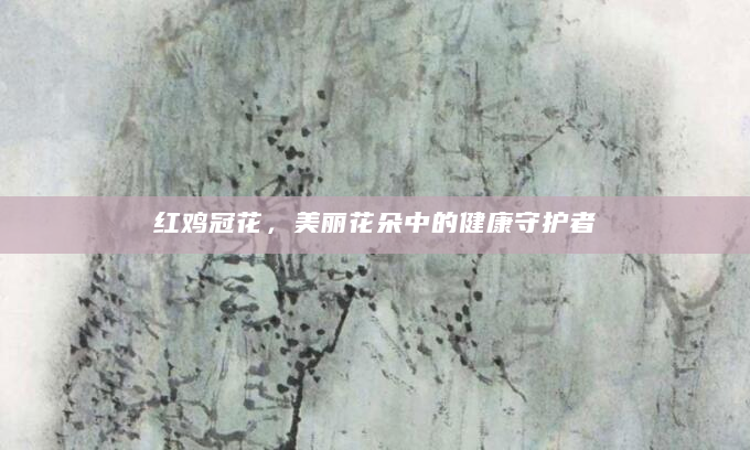 红鸡冠花，美丽花朵中的健康守护者