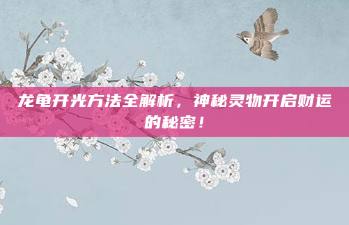 龙龟开光方法全解析，神秘灵物开启财运的秘密！
