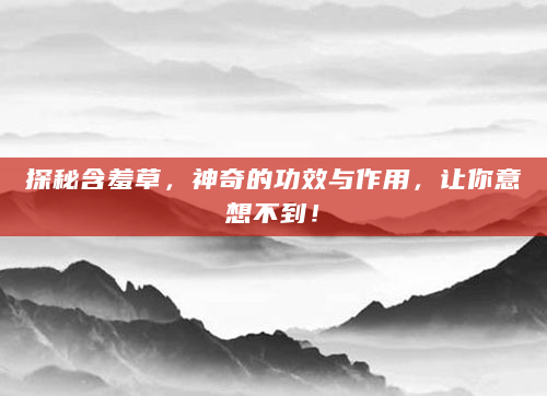 探秘含羞草，神奇的功效与作用，让你意想不到！