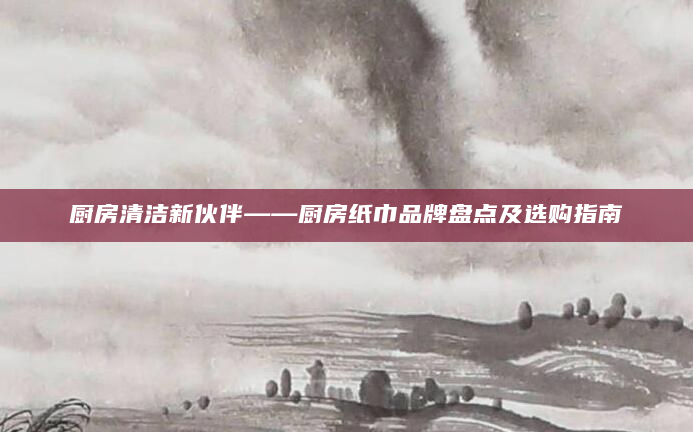 厨房清洁新伙伴——厨房纸巾品牌盘点及选购指南