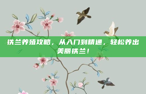 铁兰养殖攻略，从入门到精通，轻松养出美丽铁兰！