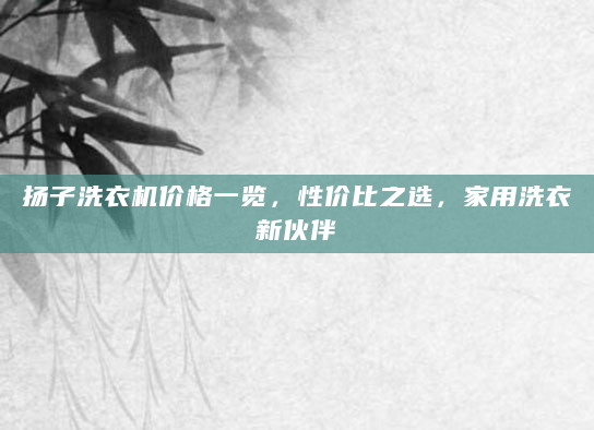 扬子洗衣机价格一览，性价比之选，家用洗衣新伙伴
