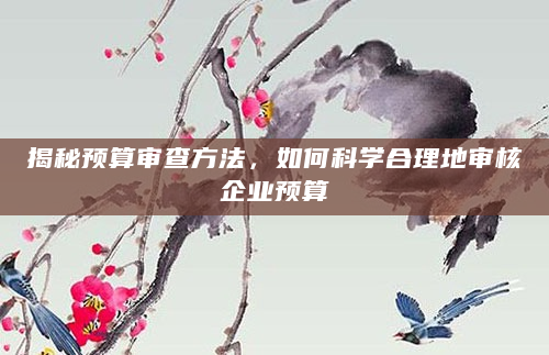 揭秘预算审查方法，如何科学合理地审核企业预算