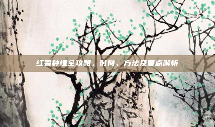红薯种植全攻略，时间、方法及要点解析