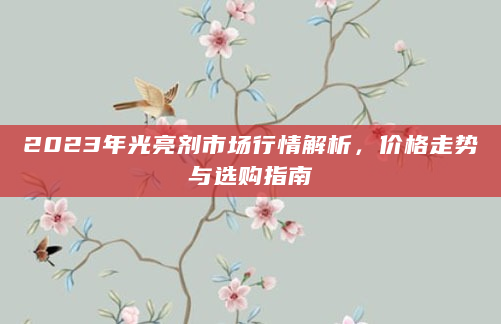 2023年光亮剂市场行情解析，价格走势与选购指南