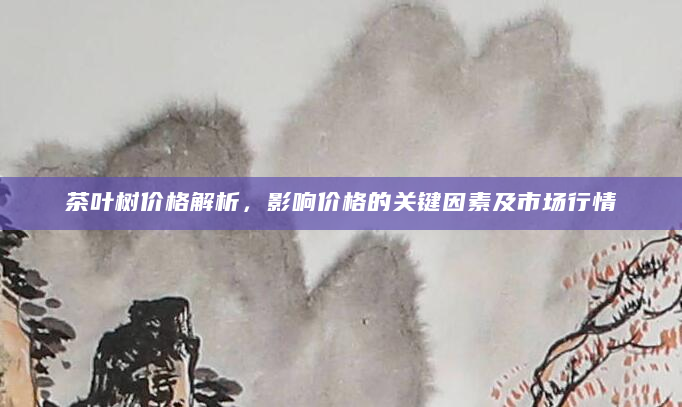 茶叶树价格解析，影响价格的关键因素及市场行情