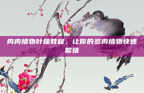 肉肉植物叶插教程，让你的多肉植物快速繁殖
