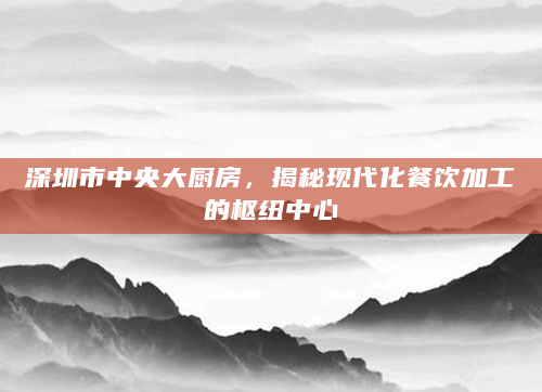 深圳市中央大厨房，揭秘现代化餐饮加工的枢纽中心