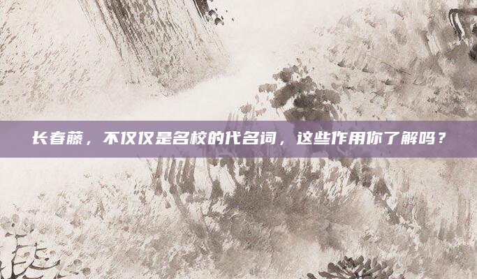 长春藤，不仅仅是名校的代名词，这些作用你了解吗？