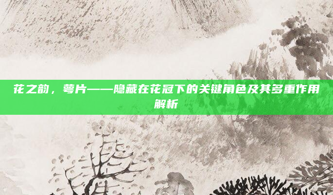 花之韵，萼片——隐藏在花冠下的关键角色及其多重作用解析
