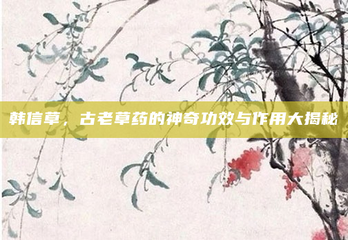 韩信草，古老草药的神奇功效与作用大揭秘