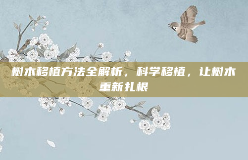 树木移植方法全解析，科学移植，让树木重新扎根