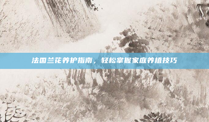法国兰花养护指南，轻松掌握家庭养植技巧