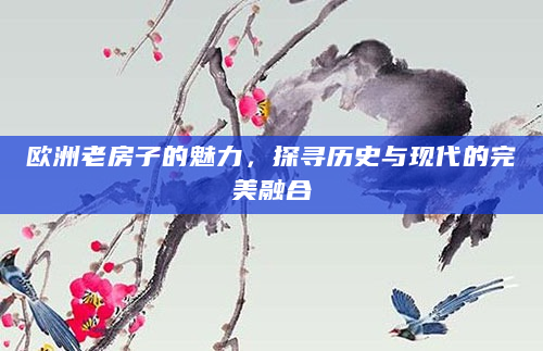 欧洲老房子的魅力，探寻历史与现代的完美融合