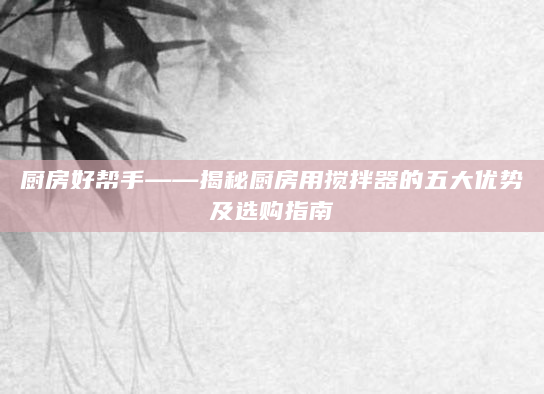 厨房好帮手——揭秘厨房用搅拌器的五大优势及选购指南