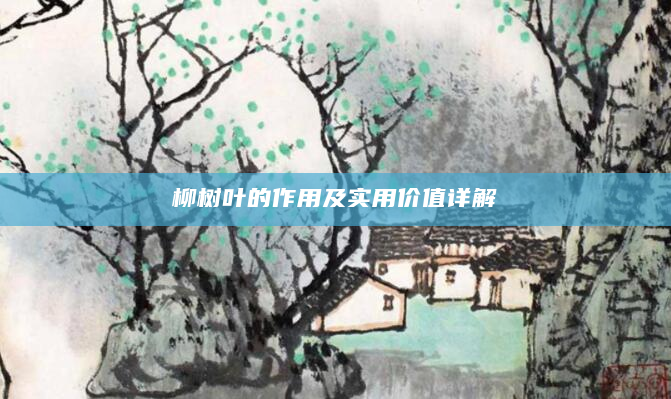 柳树叶的作用及实用价值详解