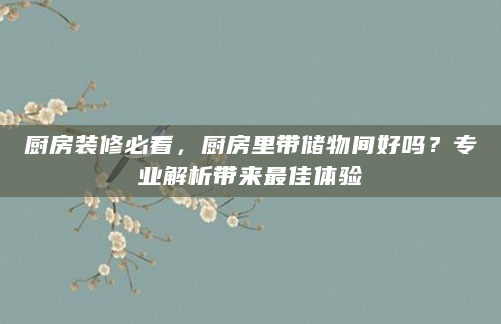 厨房装修必看，厨房里带储物间好吗？专业解析带来最佳体验
