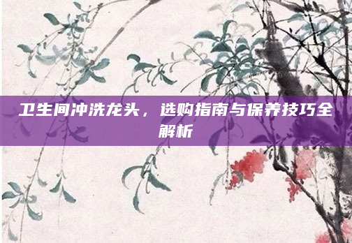 卫生间冲洗龙头，选购指南与保养技巧全解析