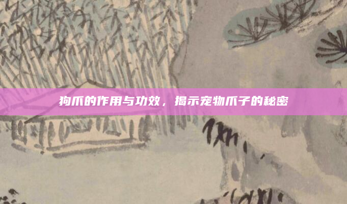 狗爪的作用与功效，揭示宠物爪子的秘密