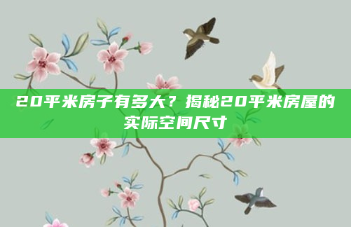 20平米房子有多大？揭秘20平米房屋的实际空间尺寸